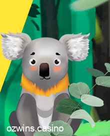 Koality Game - Ozwin